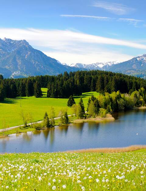 Panorama-Landschaft in Bayern mit Alpen-Gebirge und Hegratsrieder See | © Gettyimages.com/filmfoto