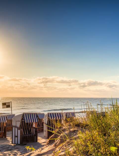 Ein friedlicher Morgen am Strand | © Gettyimages.com/mije_shots