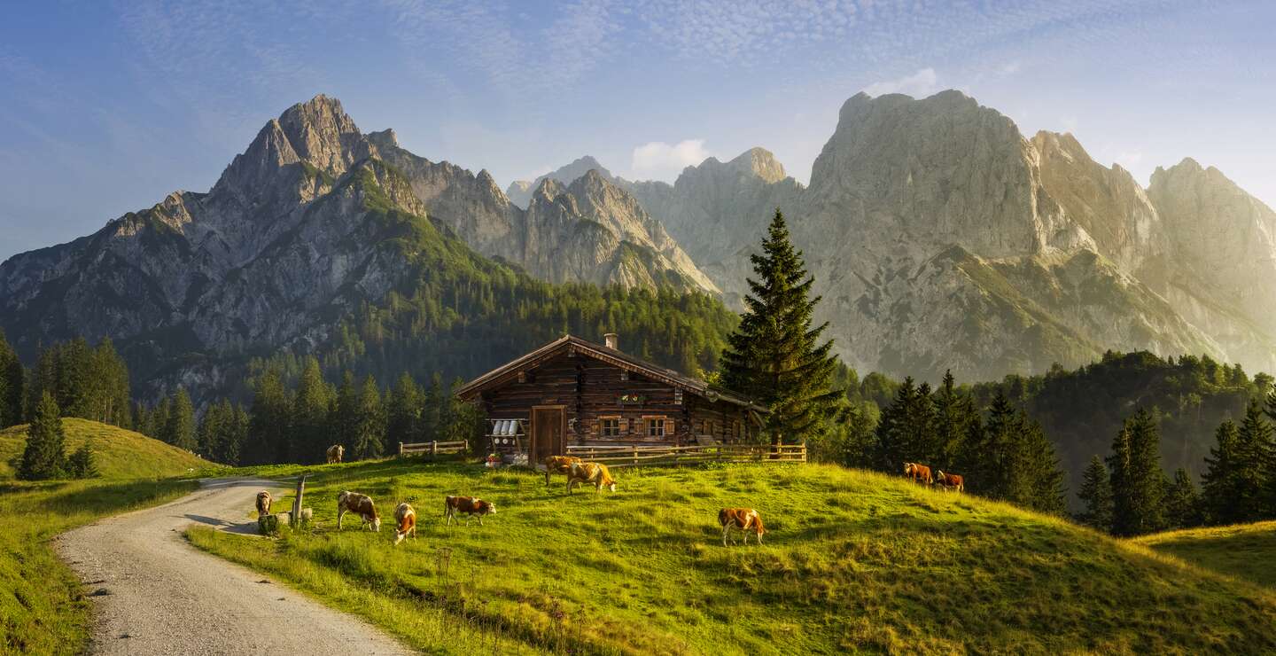 Idyllische Landschaft in den Alpen mit uriger Berghütte und frischen grünen Almen bei Sonnenaufgang | © Gettyimages.com/dietermeyrl