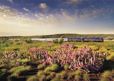 Indian Pacific