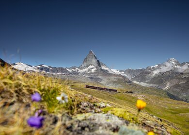 Riffelberg_Best_of_Wallis