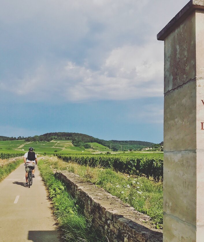 Suedburgund_Rad_Voie_des_vignes_A