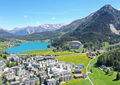 Davos_7