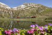 Glacier_Express_13