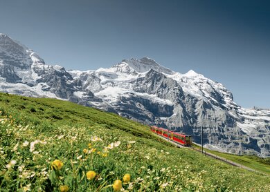 Jungfraujoch, Jungfraubahn
