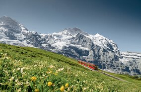 Jungfraujoch, Jungfraubahn