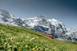 Jungfraubahn_2