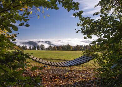 Rothaarsteig_Haengematte