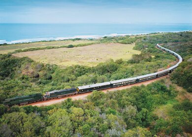 Shongololo