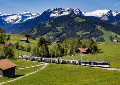 Golden_Pass_9