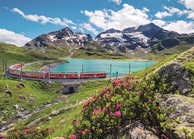 Bernina_Express_5 | © Tobias Ryser