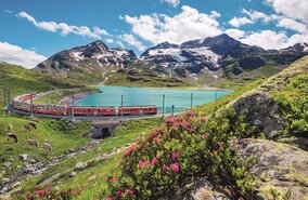 Bernina_Express_5 | © Tobias Ryser