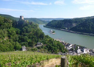 Wandern_Rheinsteig_2