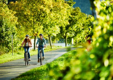 Familien-Radtour Mosel_6