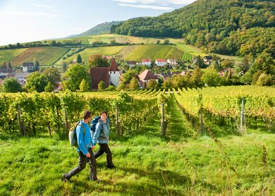 PfaelzerWeinstrasse_bei_Leinsweiler