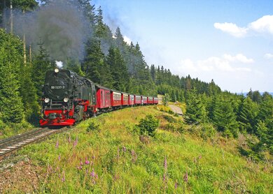 DE_HRZ_X3H_Bahn_Wandern_mit_den_Harzer_Schmalspurbahnen_1668523558.jpg