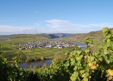 Familien-Radtour Mosel_5
