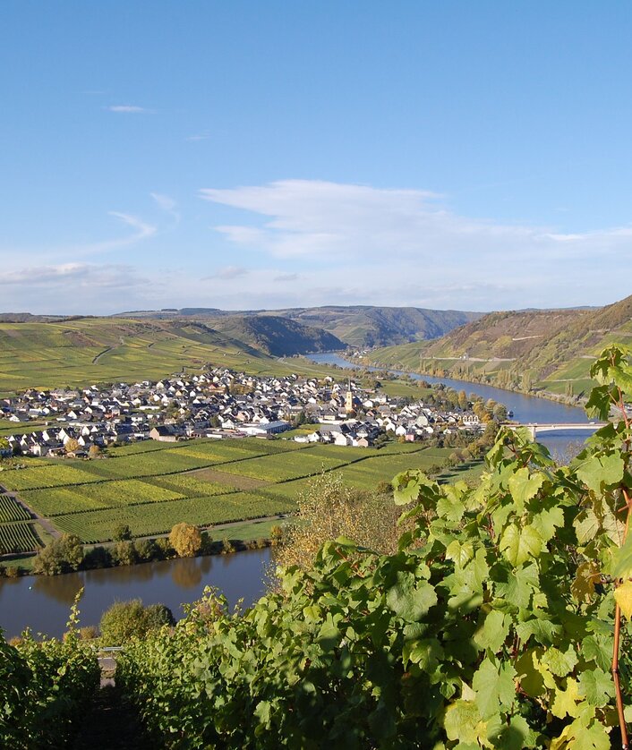 Familien-Radtour Mosel_5