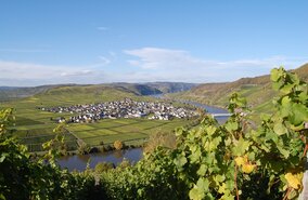 Familien-Radtour Mosel_5