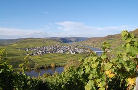 Familien-Radtour Mosel_5