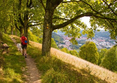 Wandern Altmuehltal_1