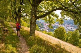 Wandern Altmuehltal_1