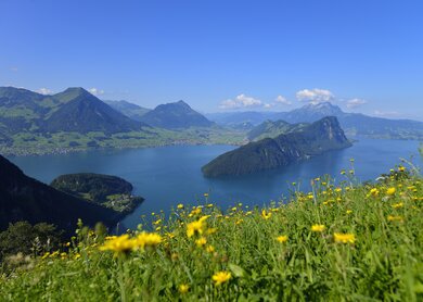 Bahn-Wandern_Luzern_1