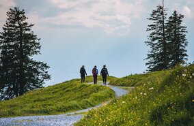 Bahn_Wandern_Luzern_3