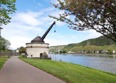 Rhein_Radweg