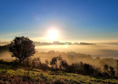 Morgenstimmung_am_Jakobsweg