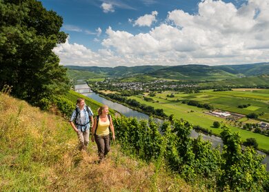 Moselsteig_3