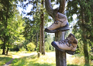 Rennsteig_Schuhe