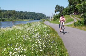 Elbe-Radweg_19