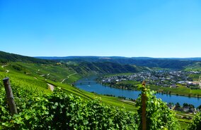 Mosel_Radweg_A