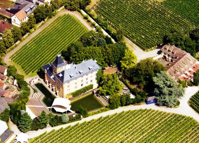 DE_MOS_AZG_Hotel_Schloss_Edesheim_1469026332.eps