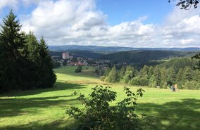Harzer_Hexen_Stieg_Altenau