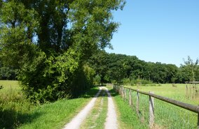 Muensterland_typische_Paettkes