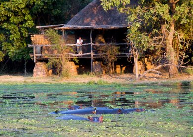 Mfuwe Lodge Zambia | © Dana Allen