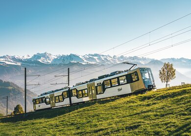 Rigi_11