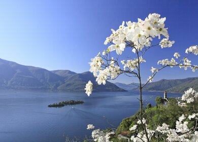 Bahn_Wandern_Tessin_3