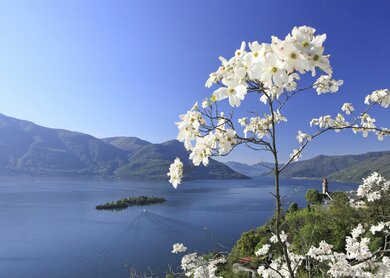 Bahn_Wandern_Tessin_3