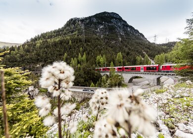 Via_Albula_Bernina_1