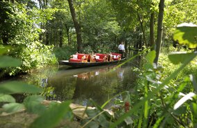 Spreewald_3