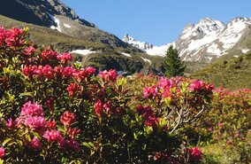 Alpenueberquerung_Landschaft_AD