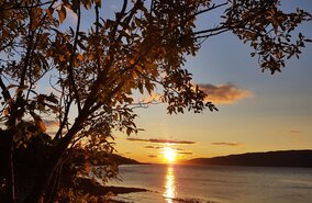 Narvik