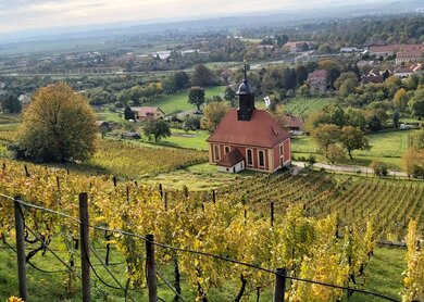Saechsische_Weinwanderweg_Weinbergkirche