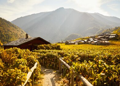 Walliser Weinweg Martigny - Leuk - A