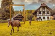 Ballenberg_C