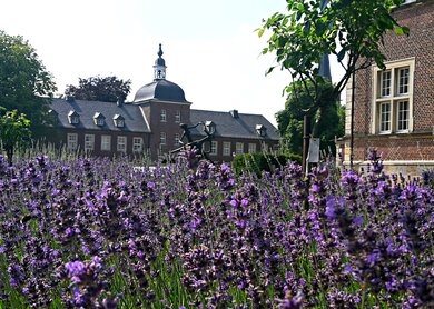 Muensterland_Ahaus_Schloss