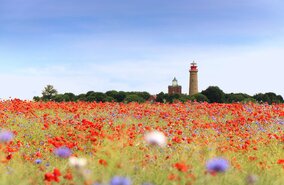 DE_RRD_X1X_Oder___Ostsee_Radkreuzfahrt_1695804736.jpg